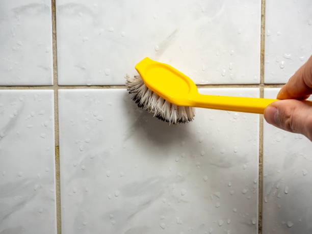 Best Office Mold Removal Services  in Rockdale, TX