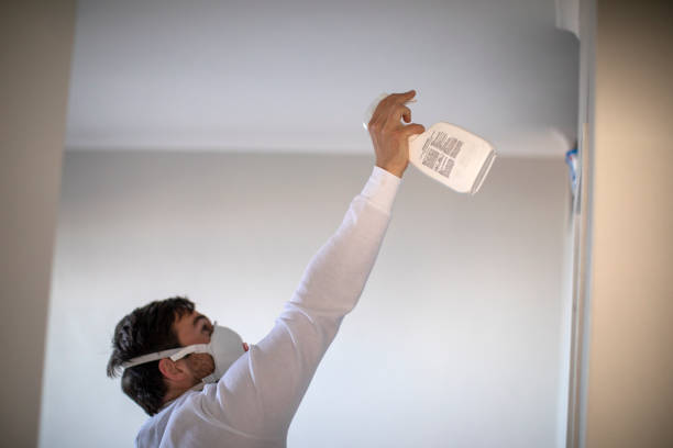 Best Mold Remediation Experts  in Rockdale, TX