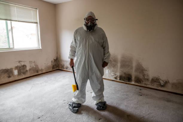 Best Mold Removal Near Me  in Rockdale, TX