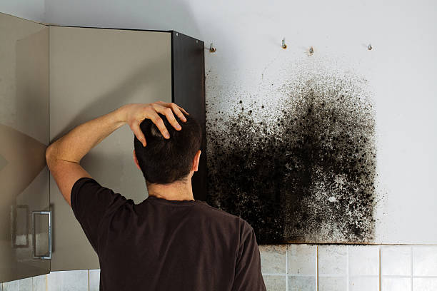 Best Mold Testing  in Rockdale, TX